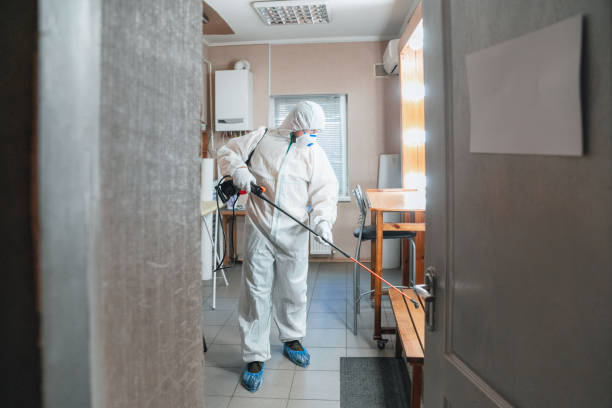 Best Industrial Mold Remediation  in USA